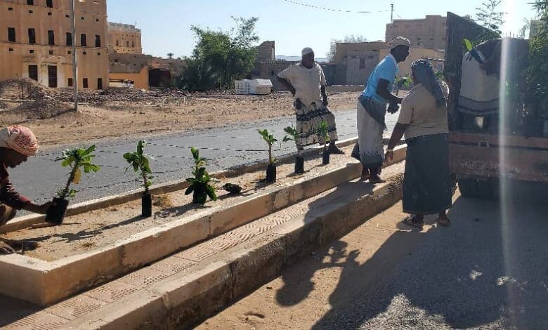 حملة تشجير تعزز المساحات الخضراء والمظهر الحضري في القطن