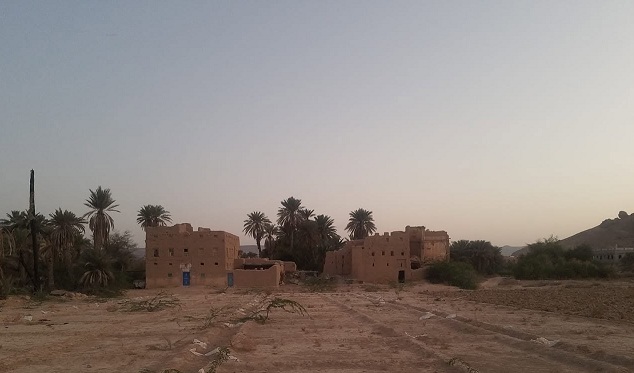 حضرموت.. مقتل ثلاثة أشخاص في نزاع على أراضٍ زراعية بسيئون