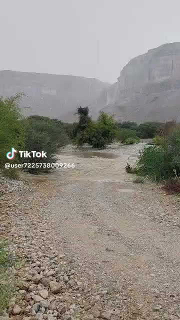 امطار وادي عمد عصر هذا اليوم الاحد ٦/٩/٢٠٢٦